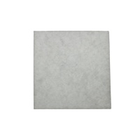 Wilms Grobstaub-Filtermattenpad G 3 f&uu gallery