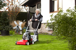 tielbürger Vertikutierer tv410 (Honda GP 160)