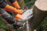 STIHL Akku-Motorsäge MSA 220 TC-O, PS3, Schienenlä