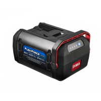 TORO Akku L540, 10 Ah gallery