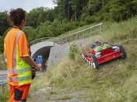 agria Ferngesteuerter Hochgras-S gallery 6_2nd