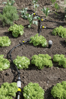 Kärcher Partikelfilter gallery 49_2nd