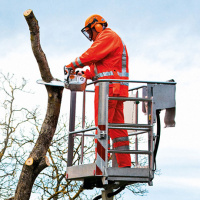 STIHL Baumpflegesäge MS 201 TC-M, PS3, Schienenlän