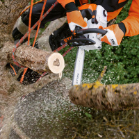 STIHL Baumpflegesäge MS 201 TC-M, PS3, Schienenlän