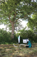 Remarc Spezialsauger LS EPS gallery 18_2nd